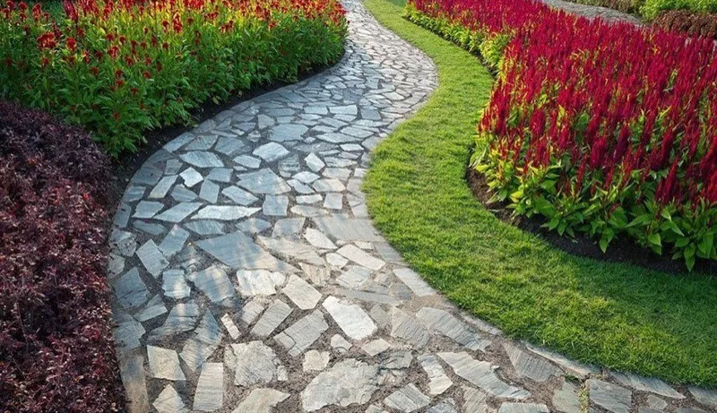 Flagstone garden path lined with red celosia flowers