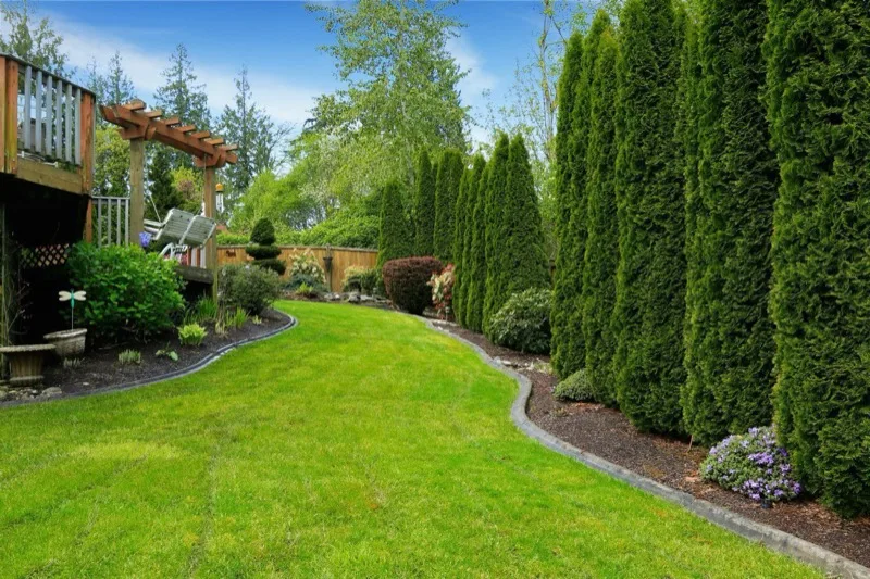 Gravel driveway lined with a fieldstone retaining wall