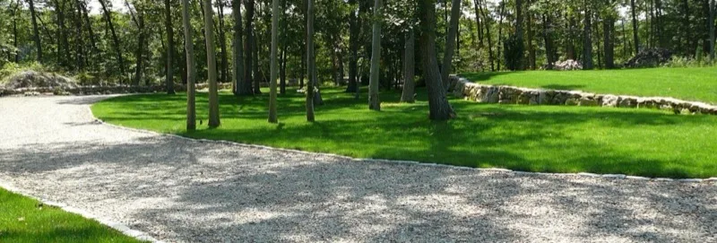 Backyard landscaping with a wooden arbor and manicured hedges